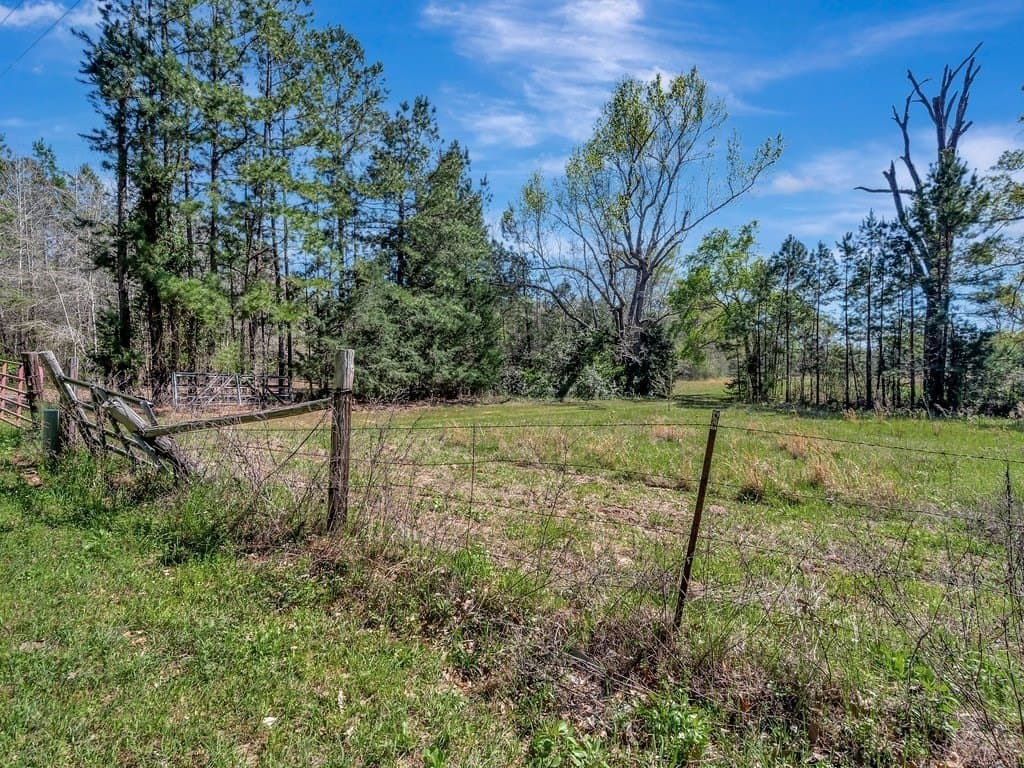 52.04 acres in Rusk County gallery image 3