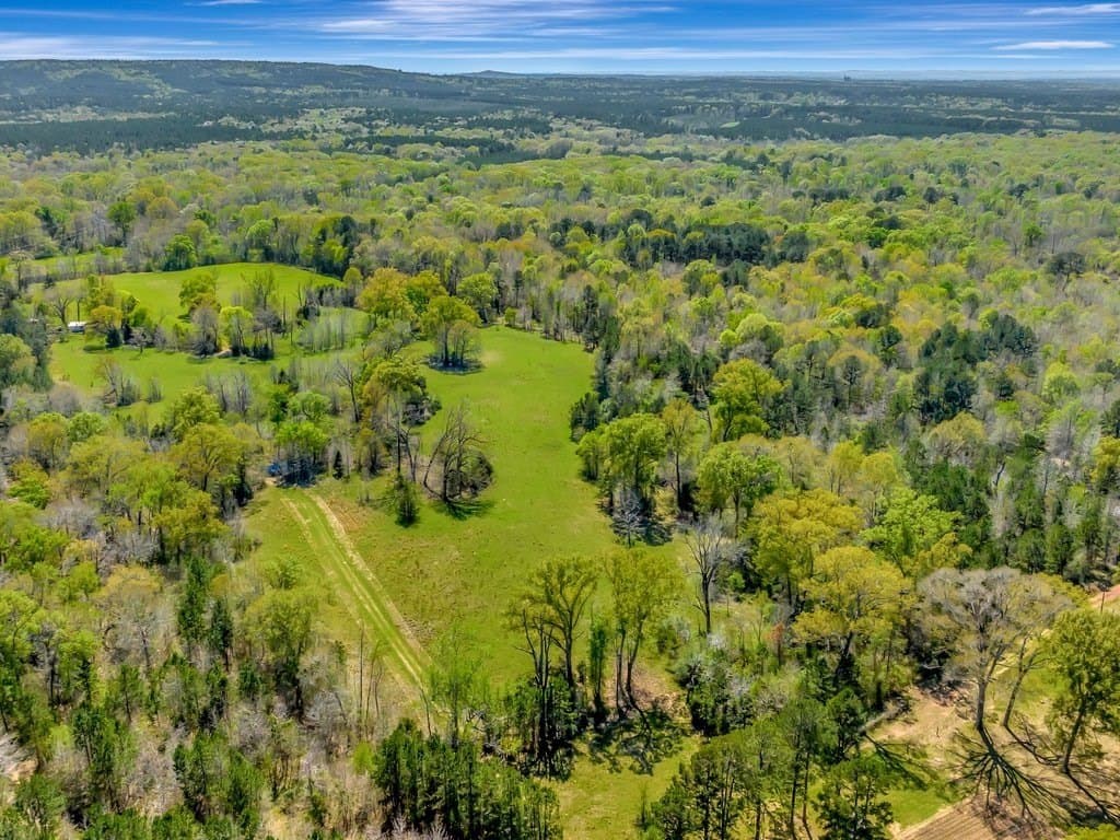 52.04 acres in Rusk County gallery image 4