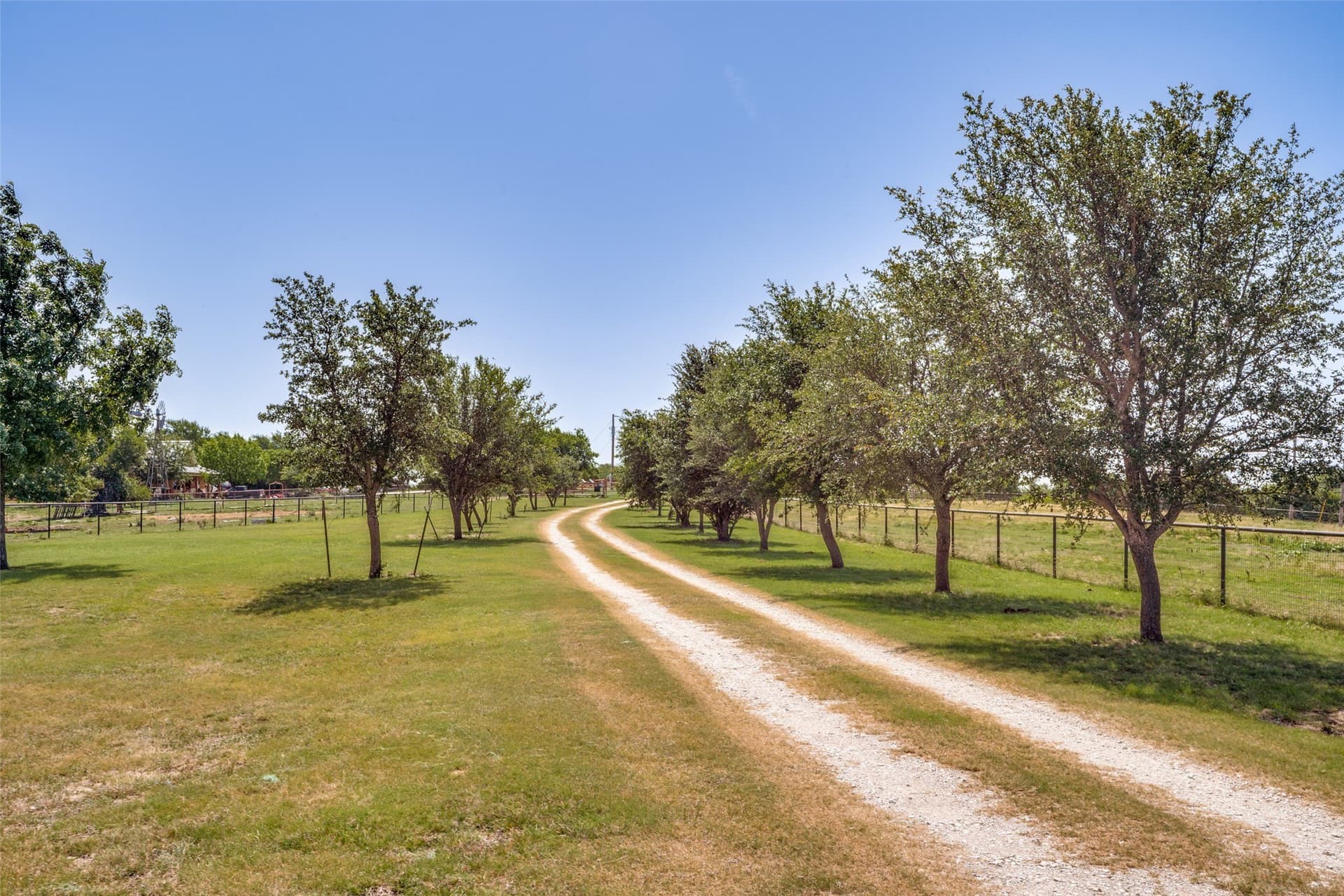 19.85 acres in Wise County gallery image 3