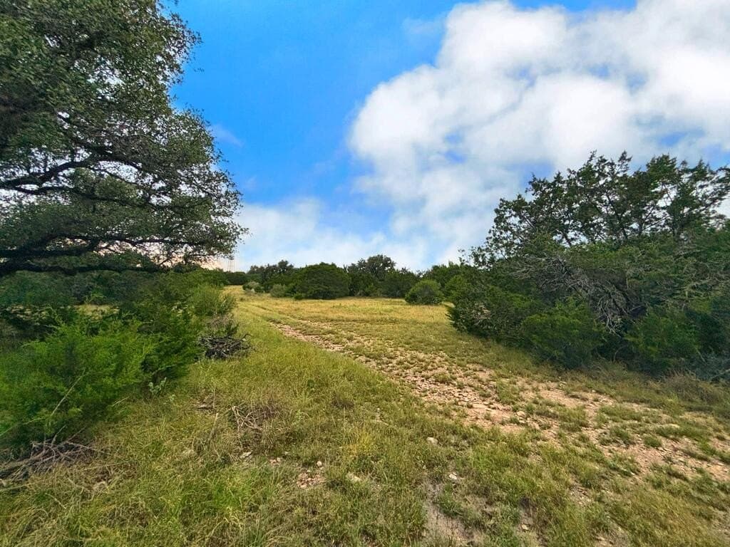 19.65 acres in Real County - photo 5