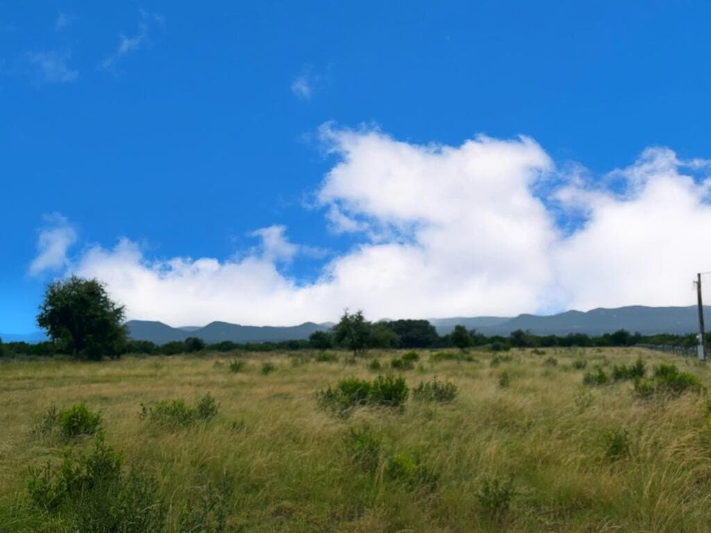 19.65 acres in Real County - photo 4