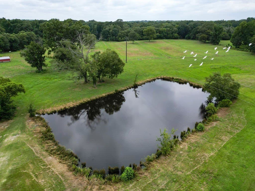 29 acres in Wood County - photo 21