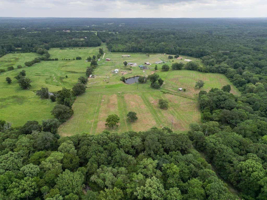 29 acres in Wood County - photo 22
