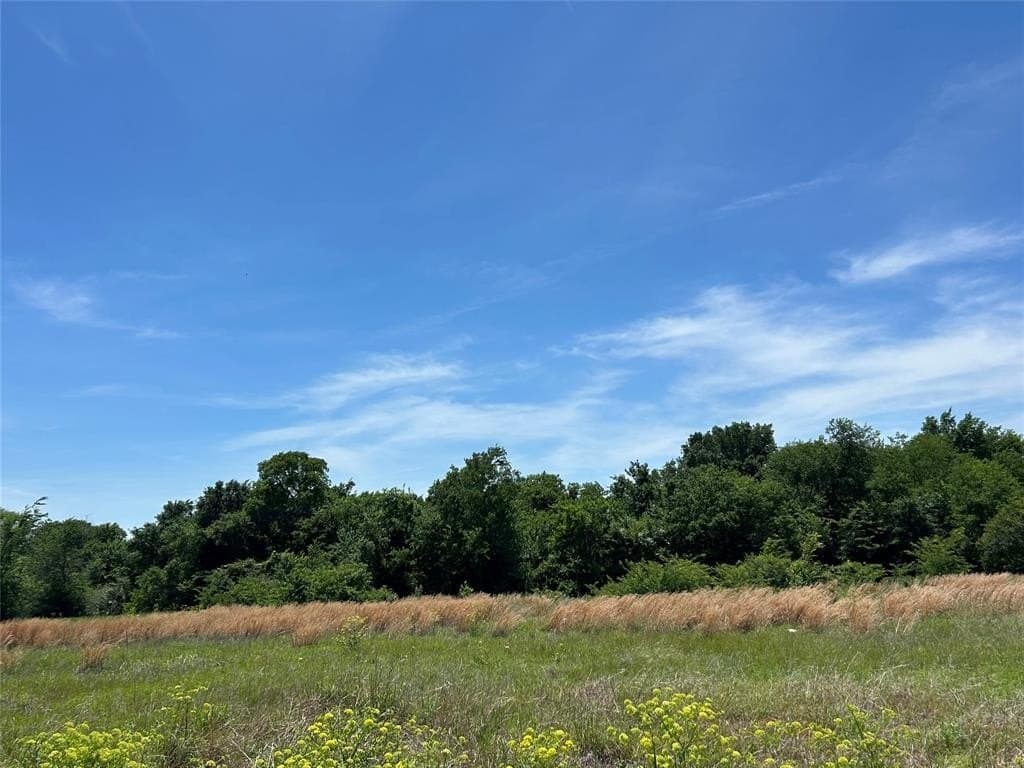 1.28 acres in Kaufman County gallery image 2