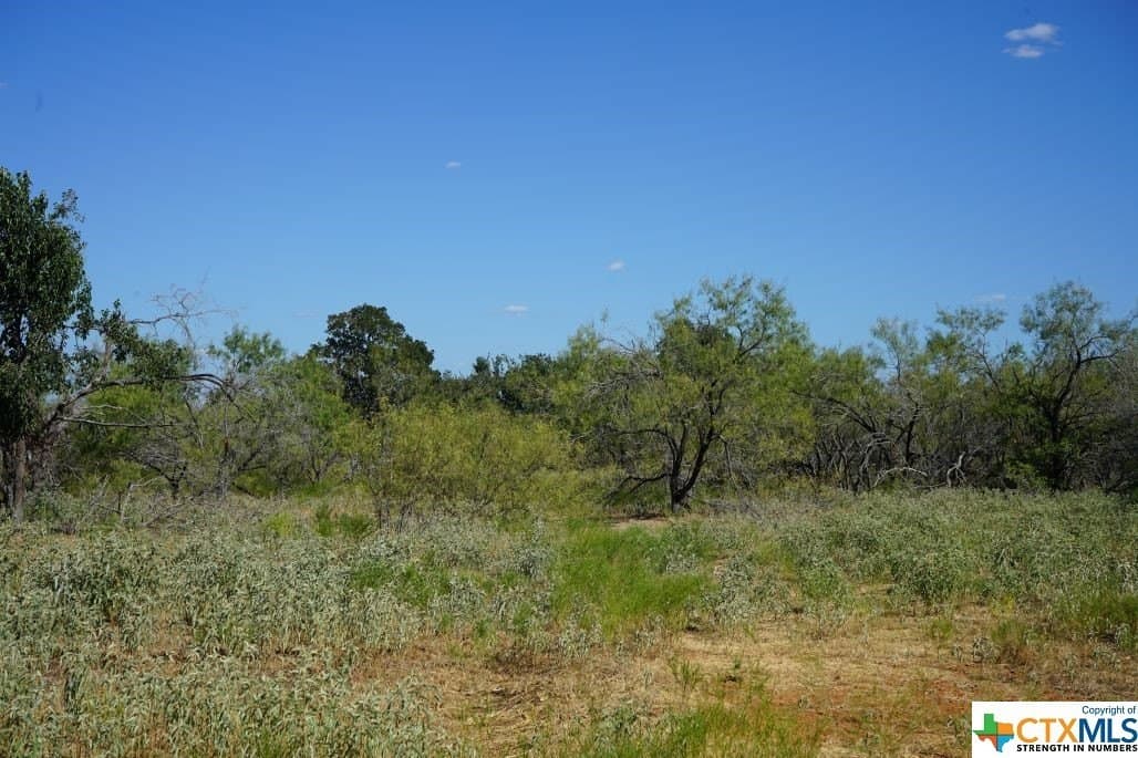 7.28 acres in Milam County - photo 6