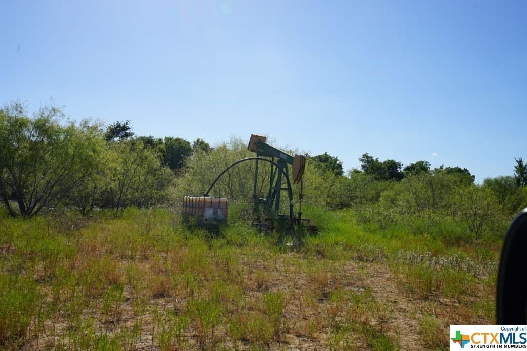 7.28 acres in Milam County - photo 7