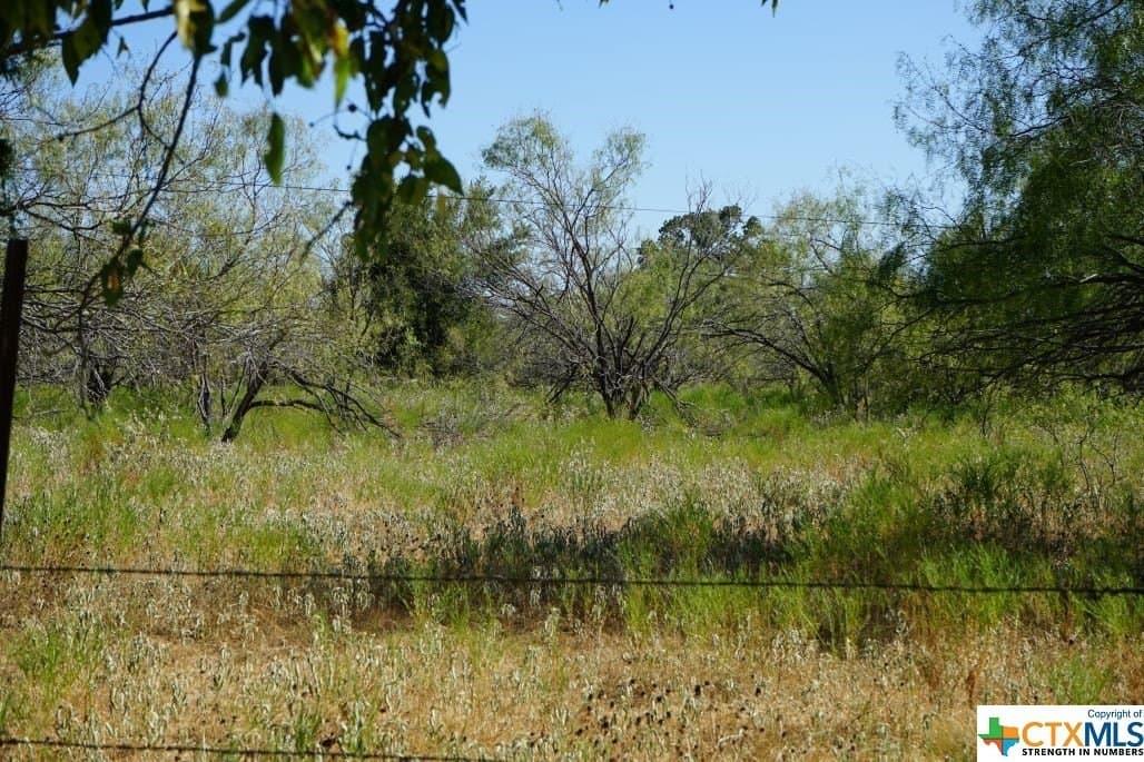 7.28 acres in Milam County - photo 4