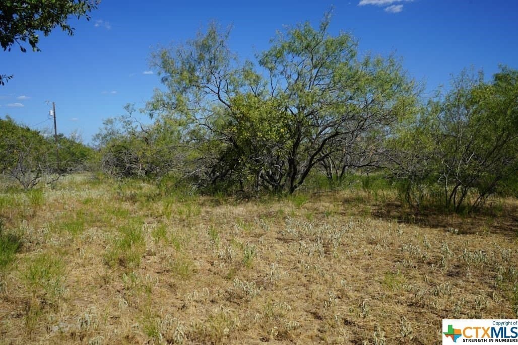 7.28 acres in Milam County - photo 5