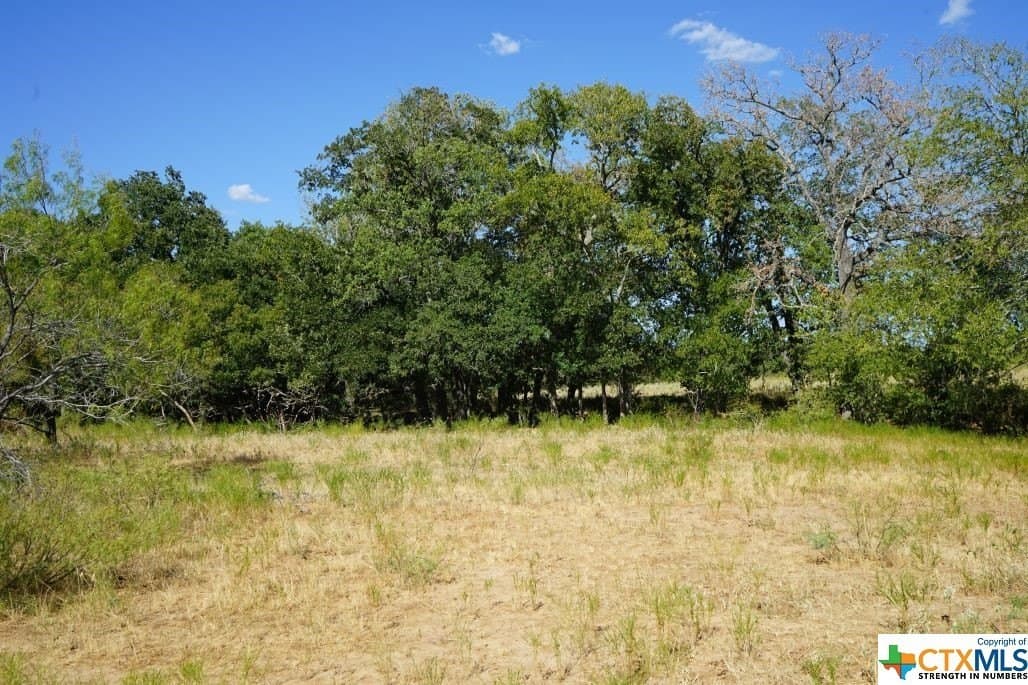 7.28 acres in Milam County - photo 2