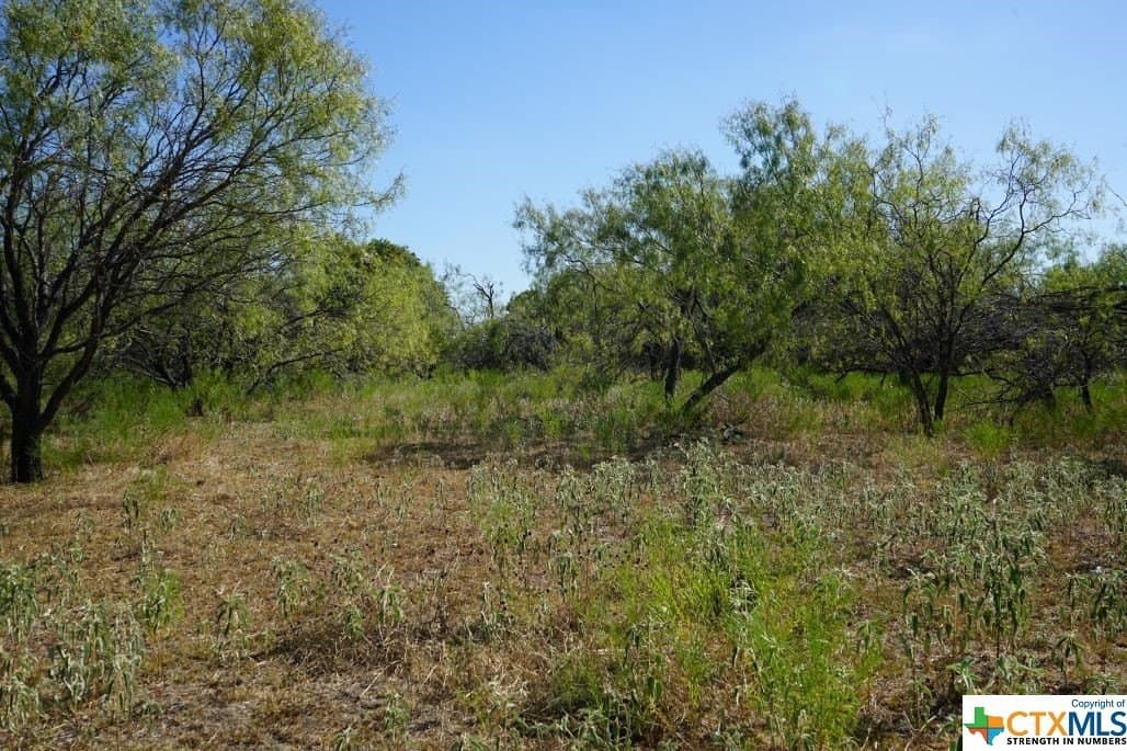 7.28 acres in Milam County - photo 8