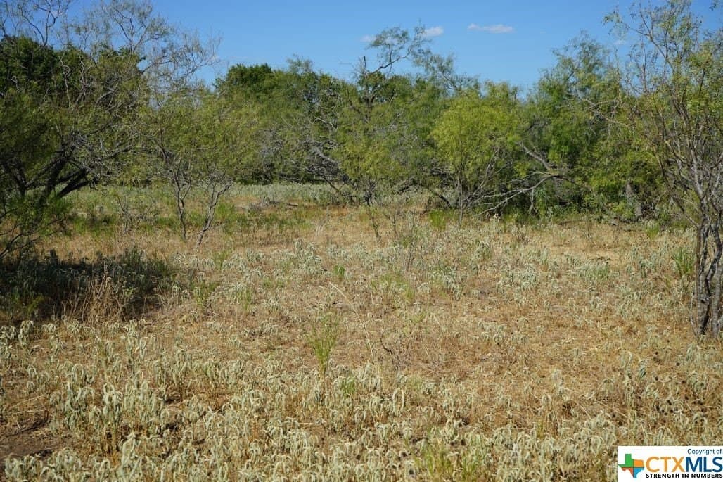 7.28 acres in Milam County - photo 3