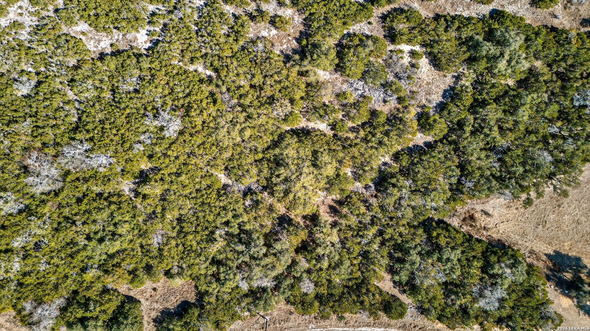 1 acres in Comal County - photo 15