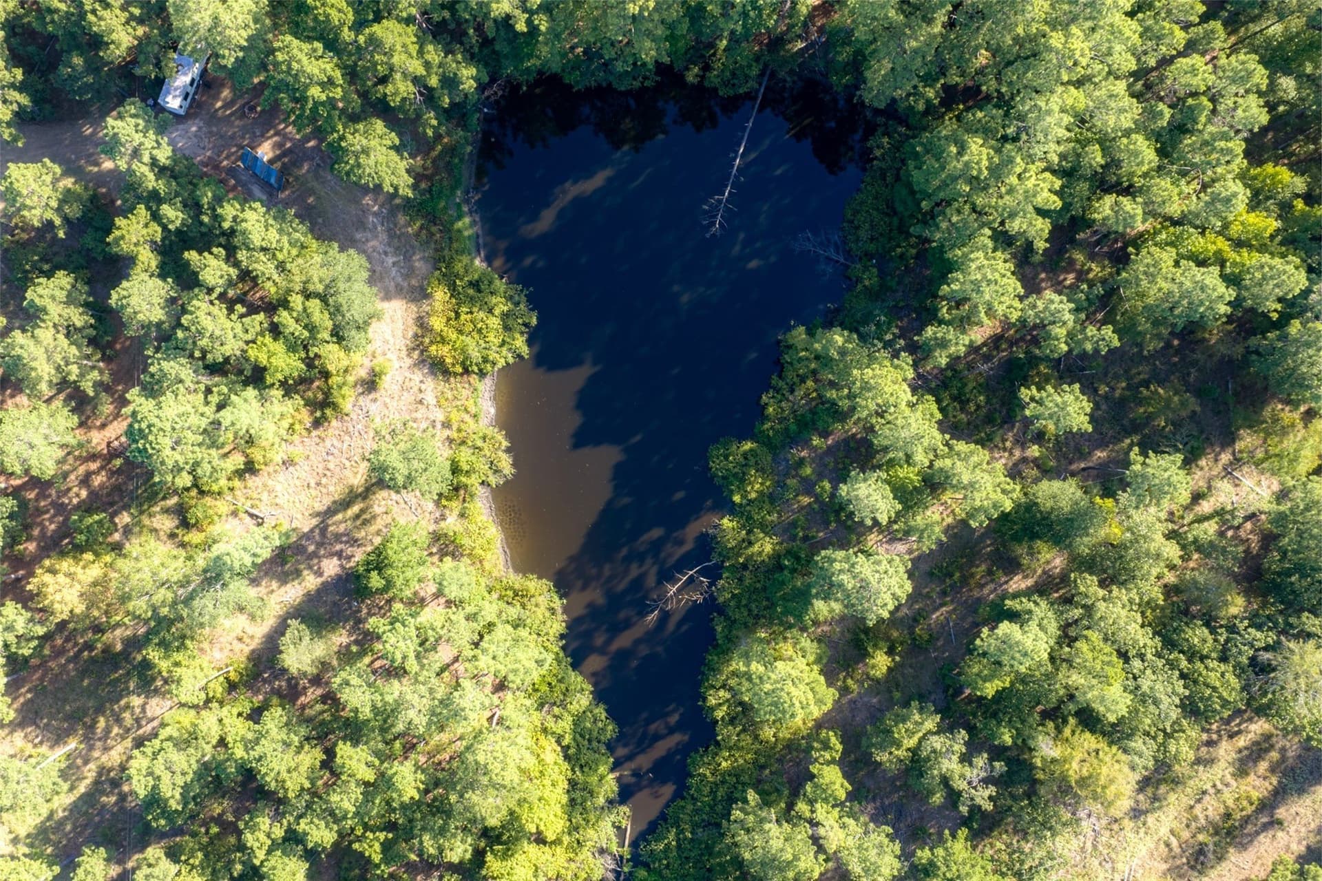 233.88 acres in Anderson County - photo 8