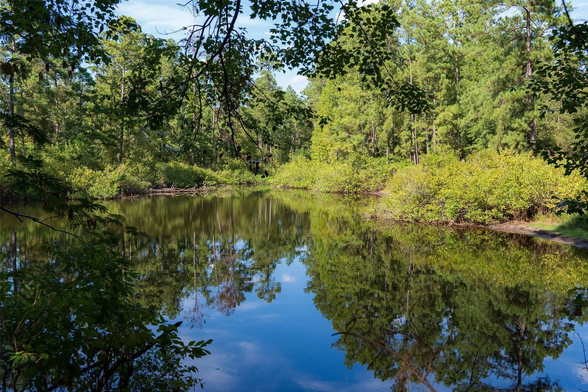 233.88 acres in Anderson County - photo 12