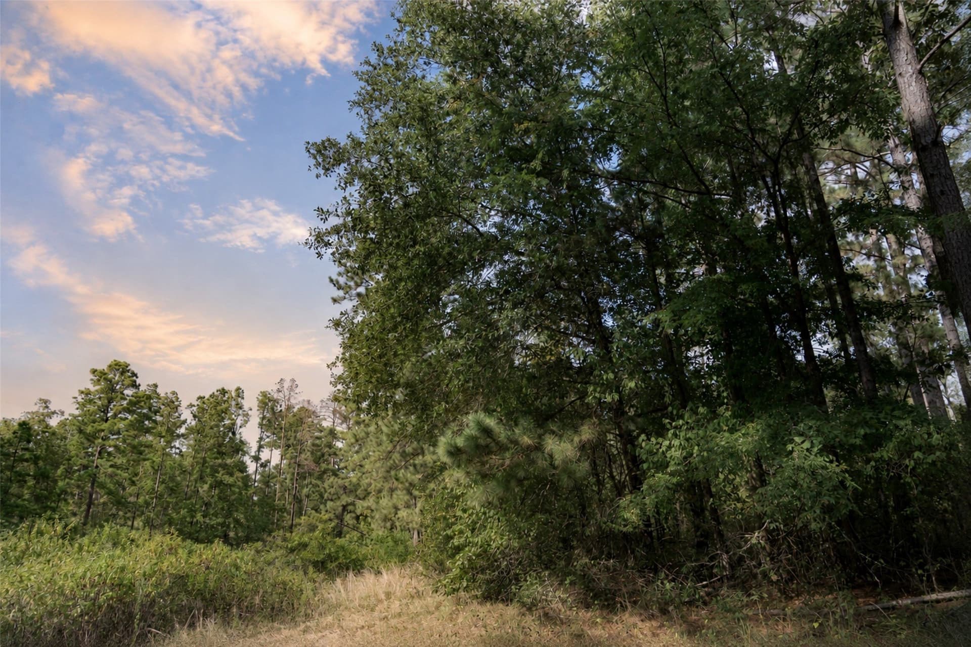 233.88 acres in Anderson County - photo 27