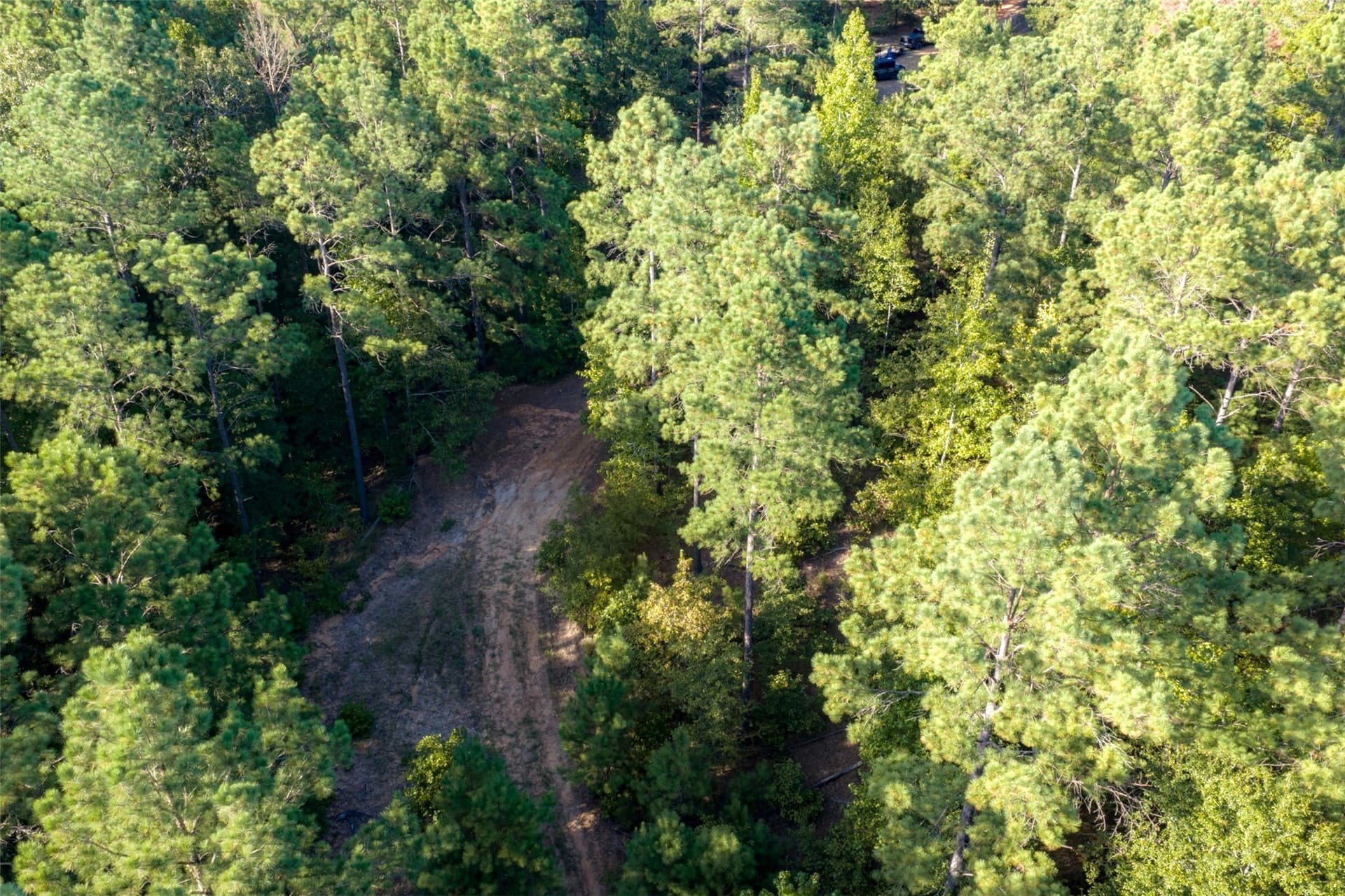 233.88 acres in Anderson County - photo 21