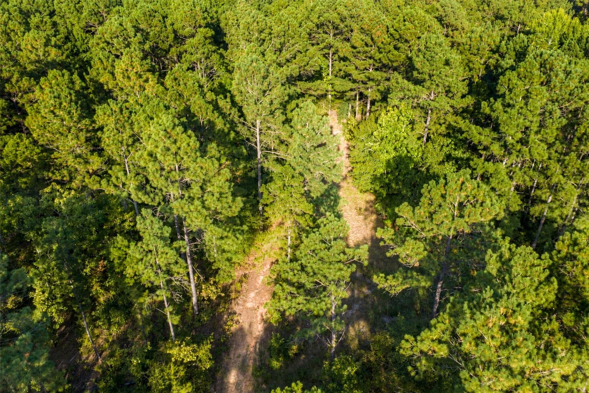 233.88 acres in Anderson County - photo 24