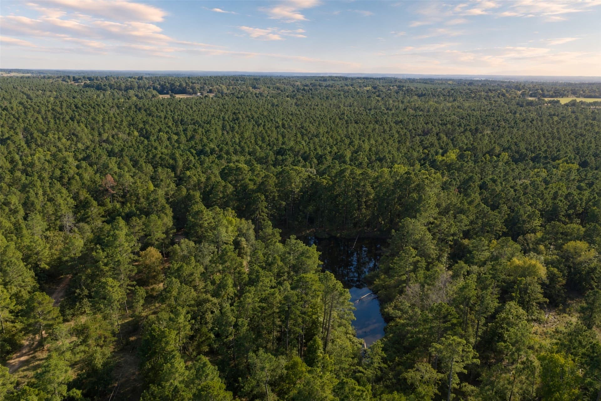 233.88 acres in Anderson County - photo 4