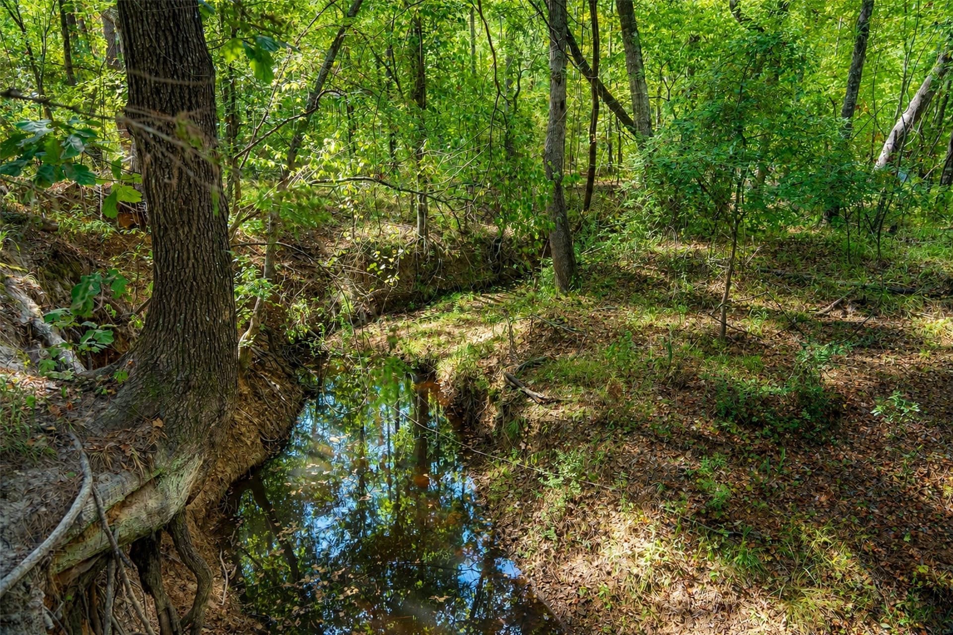 233.88 acres in Anderson County - photo 34