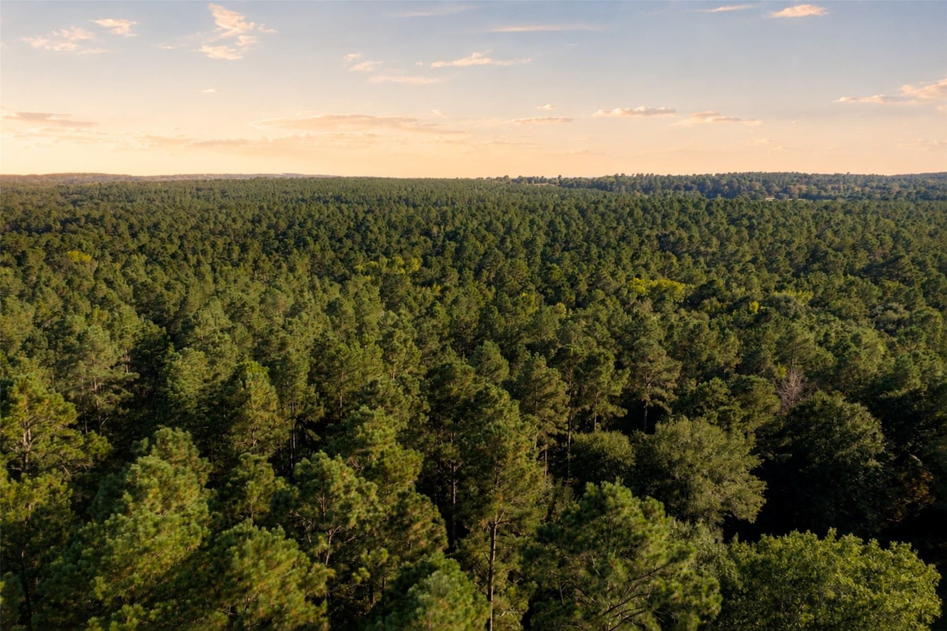 233.88 acres in Anderson County - photo 2