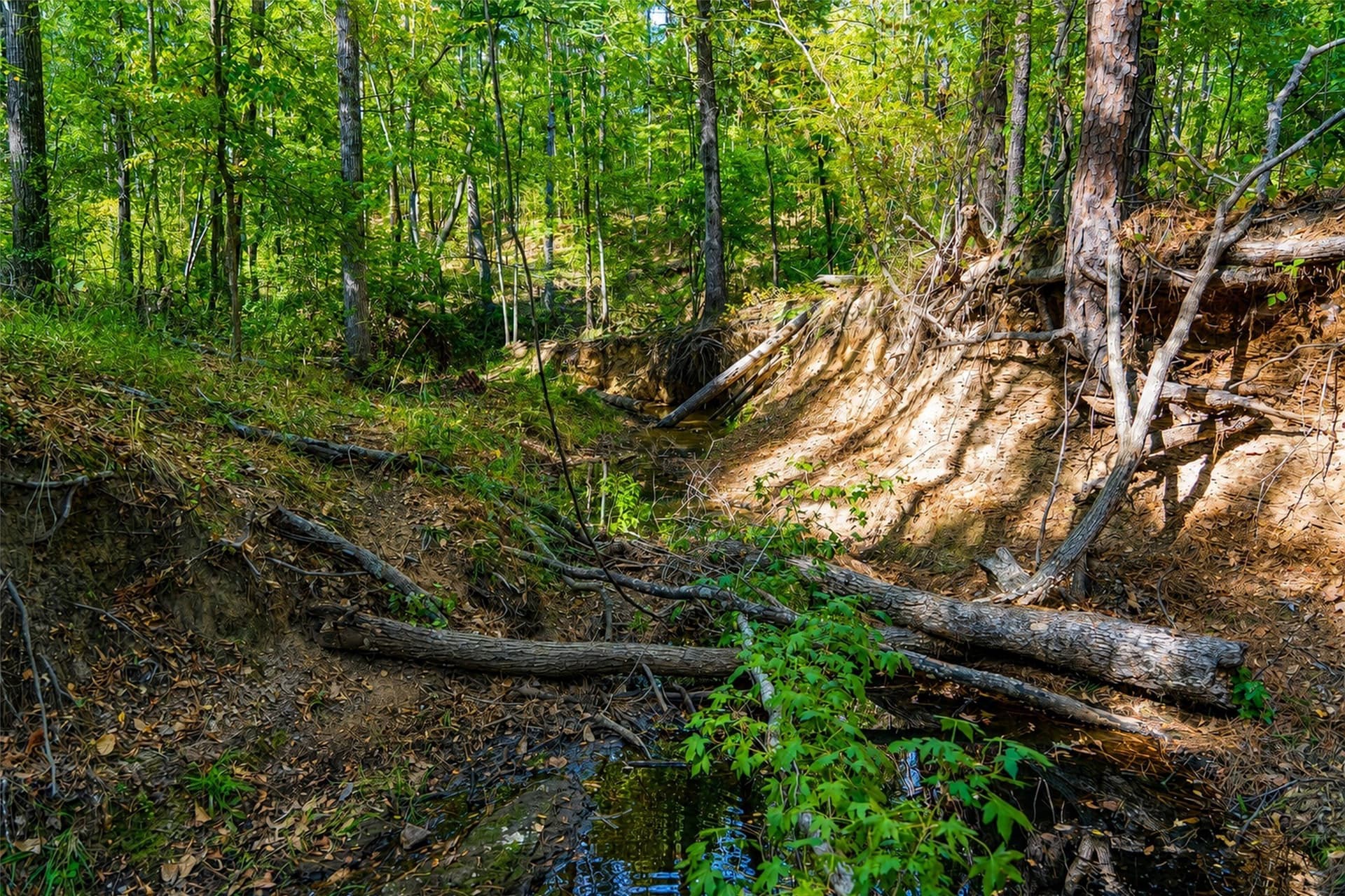 233.88 acres in Anderson County - photo 35