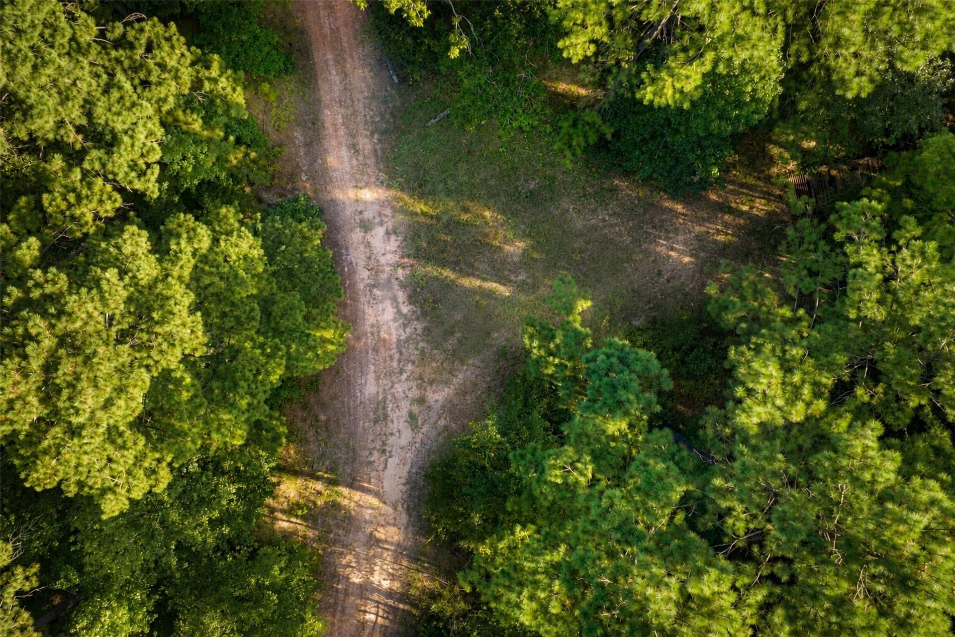 233.88 acres in Anderson County - photo 23