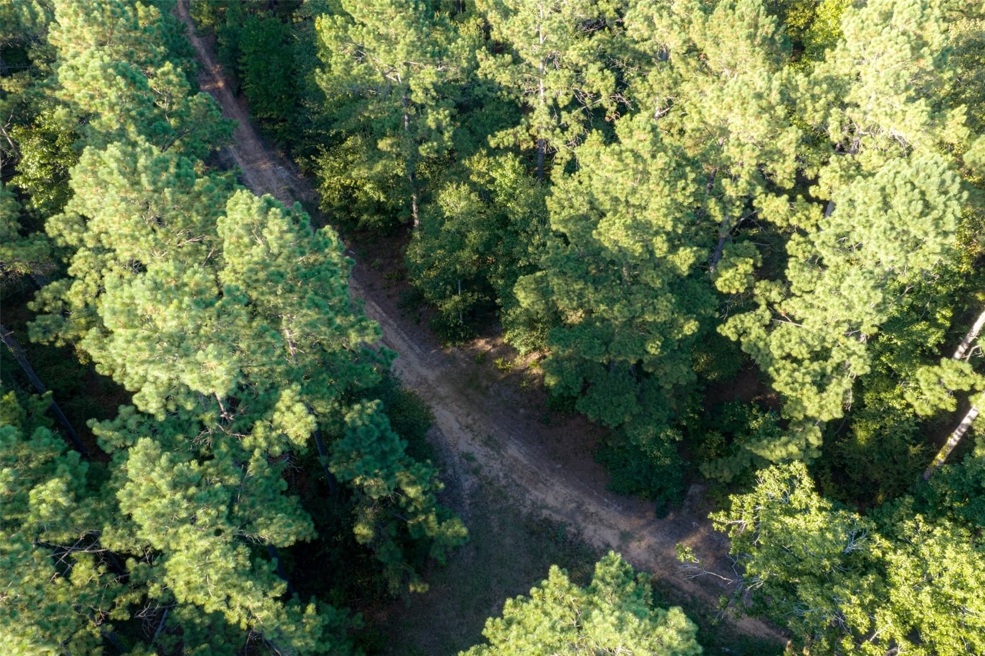 233.88 acres in Anderson County - photo 22
