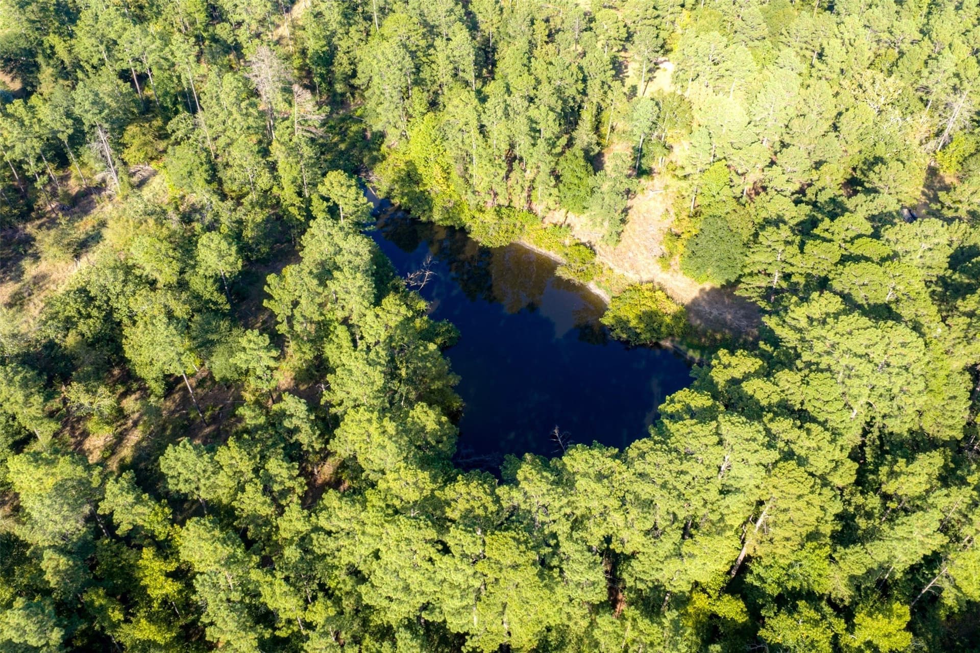 233.88 acres in Anderson County - photo 11