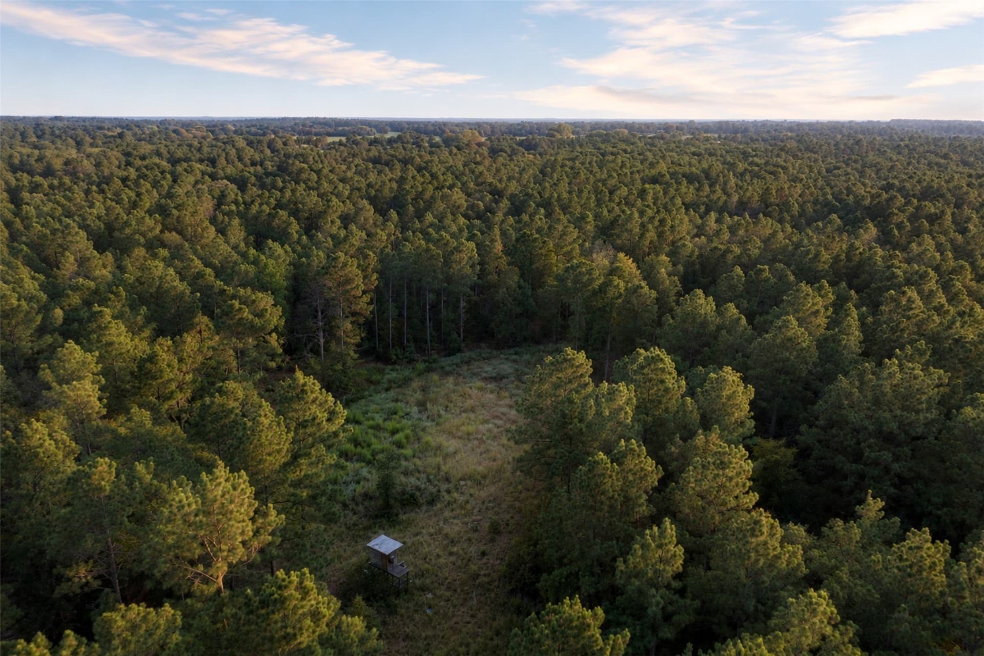 233.88 acres in Anderson County - photo 16