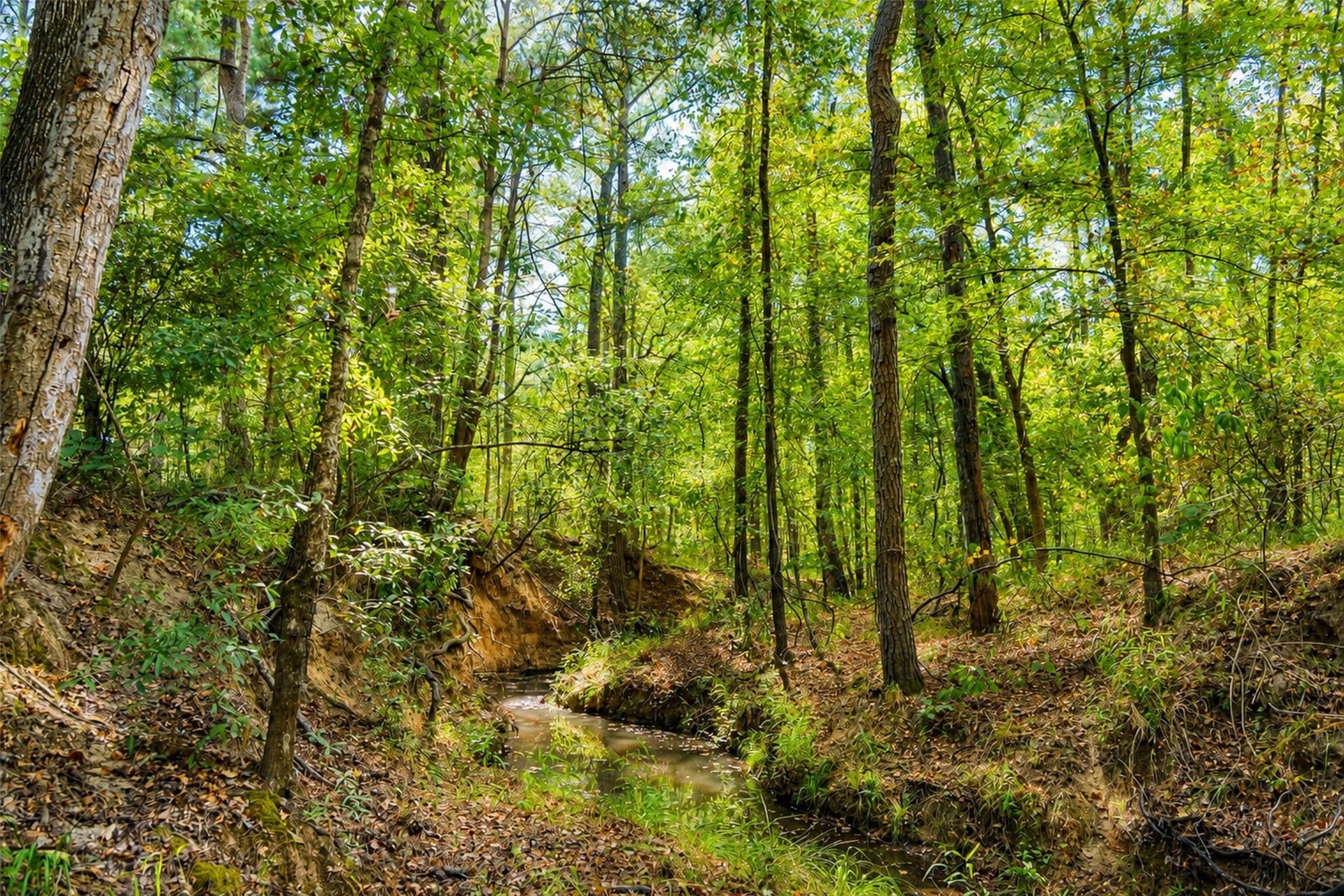 233.88 acres in Anderson County - photo 33