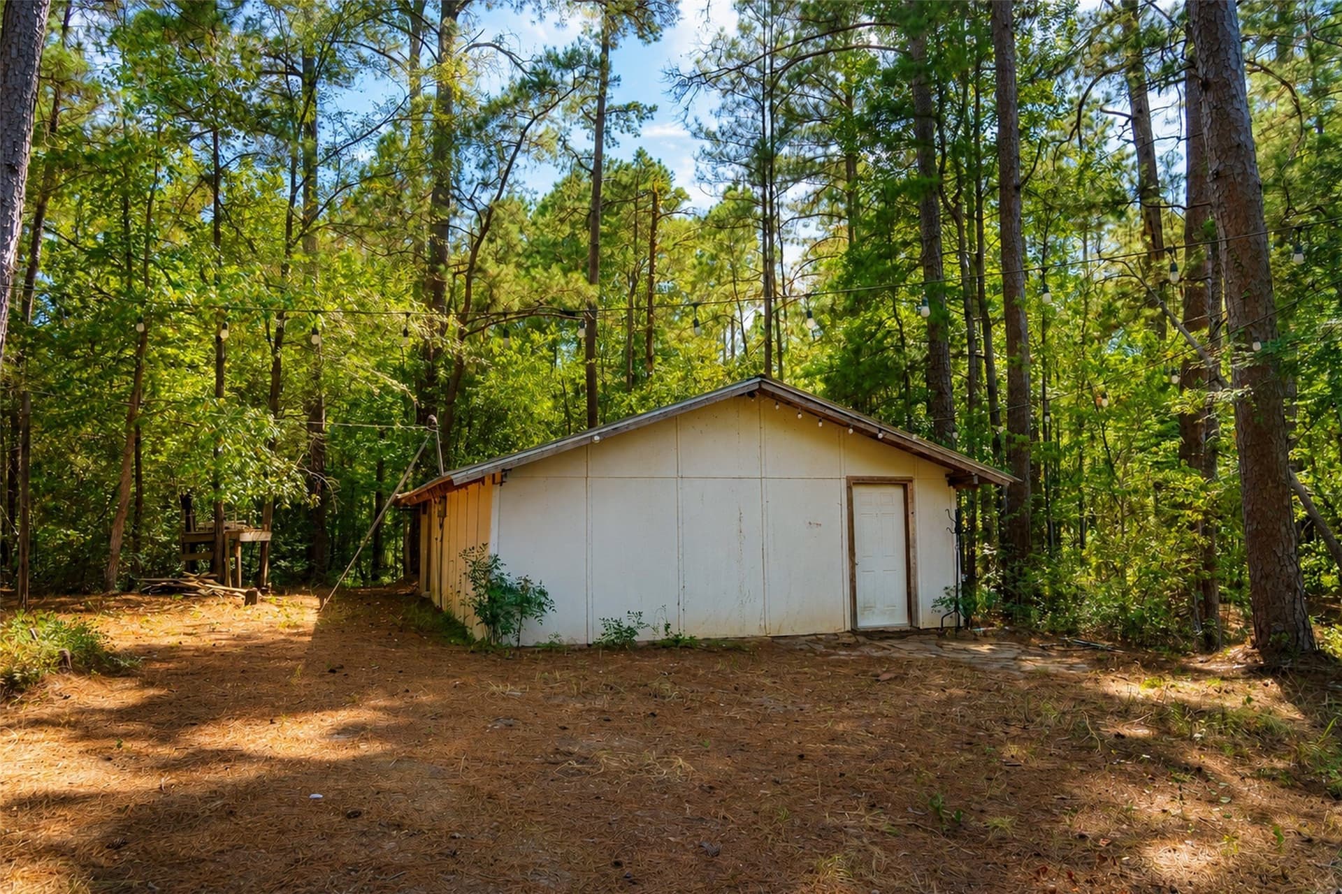 233.88 acres in Anderson County - photo 37