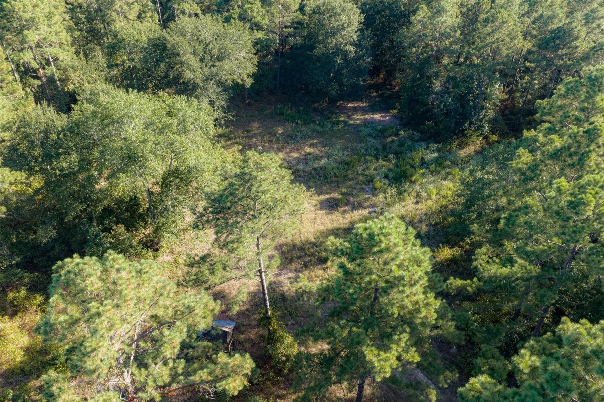 233.88 acres in Anderson County - photo 18