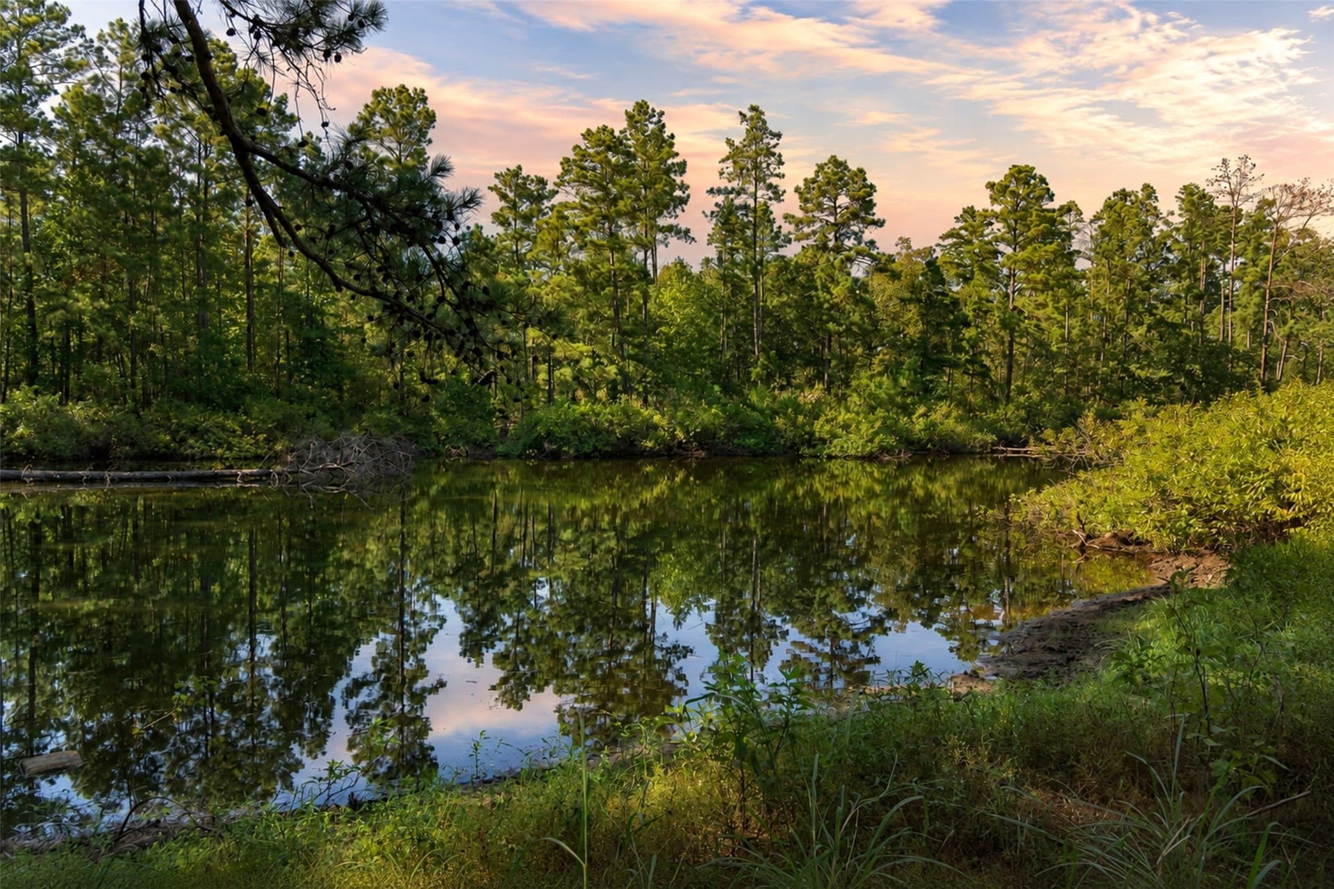 233.88 acres in Anderson County