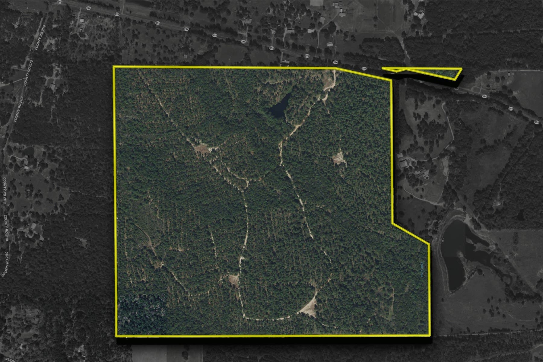 233.88 acres in Anderson County - photo 39