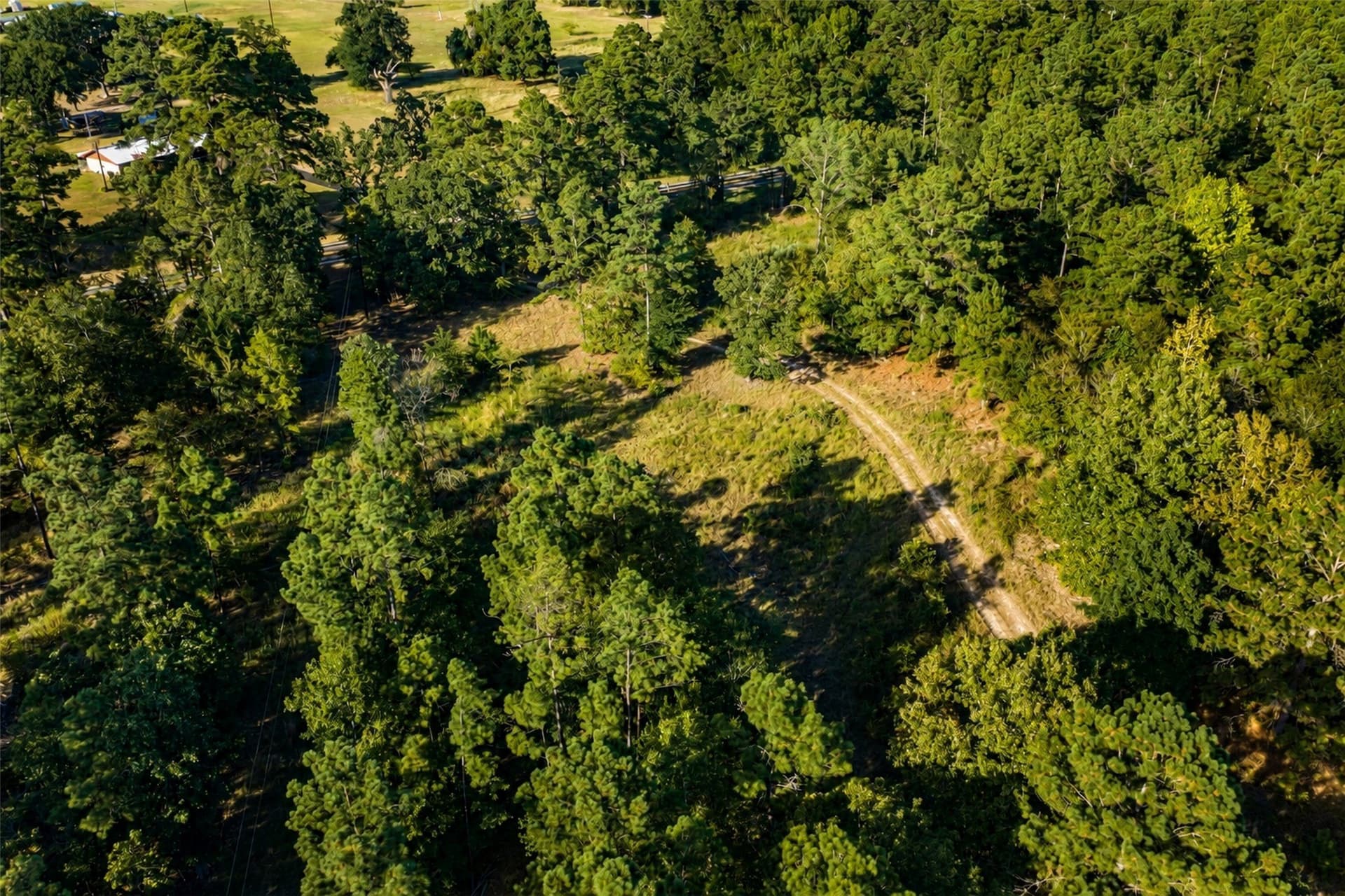 233.88 acres in Anderson County - photo 19