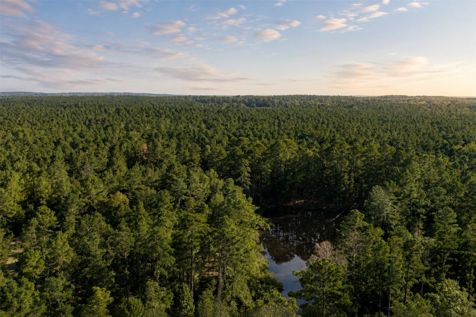 233.88 acres in Anderson County - photo 3