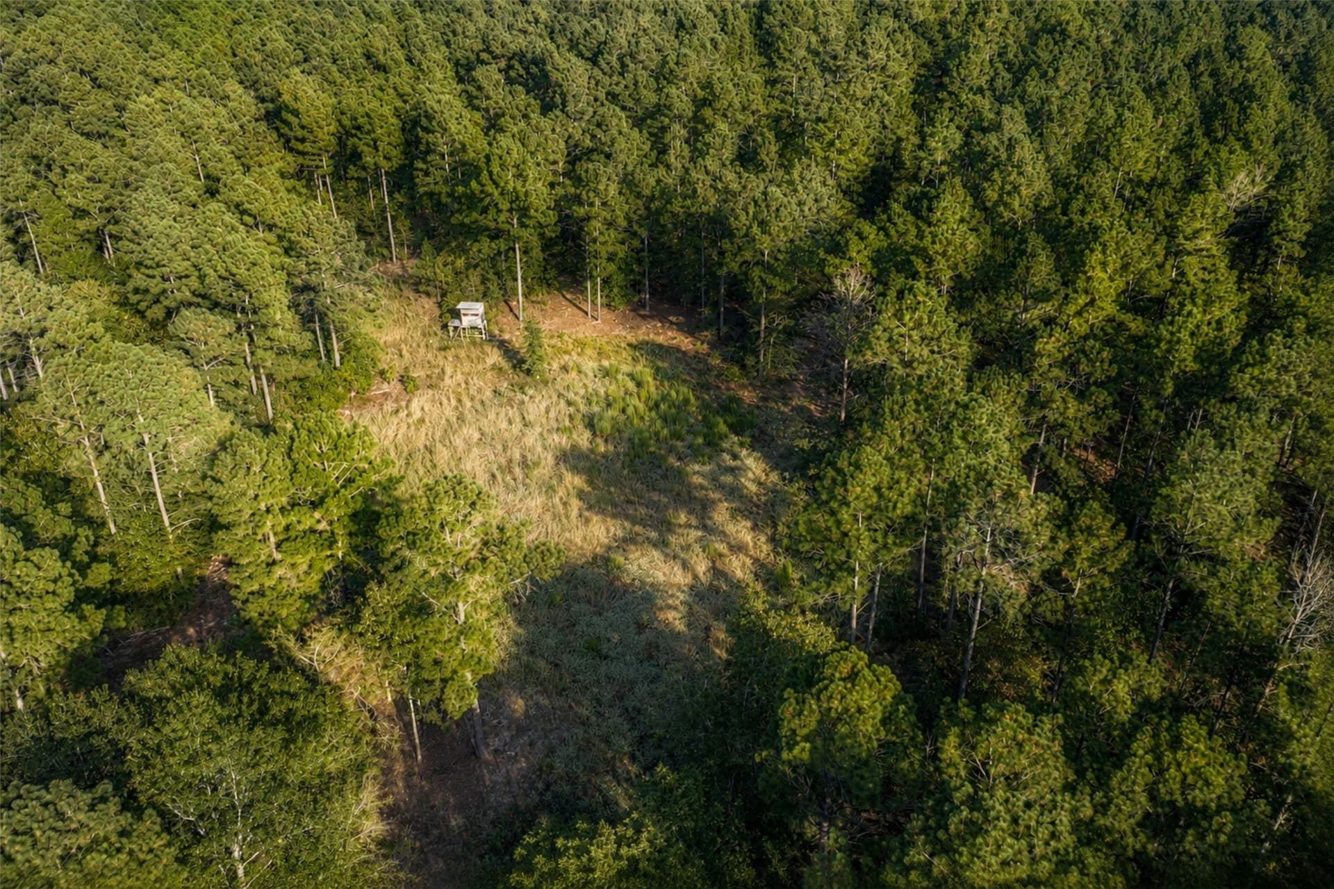 233.88 acres in Anderson County - photo 20