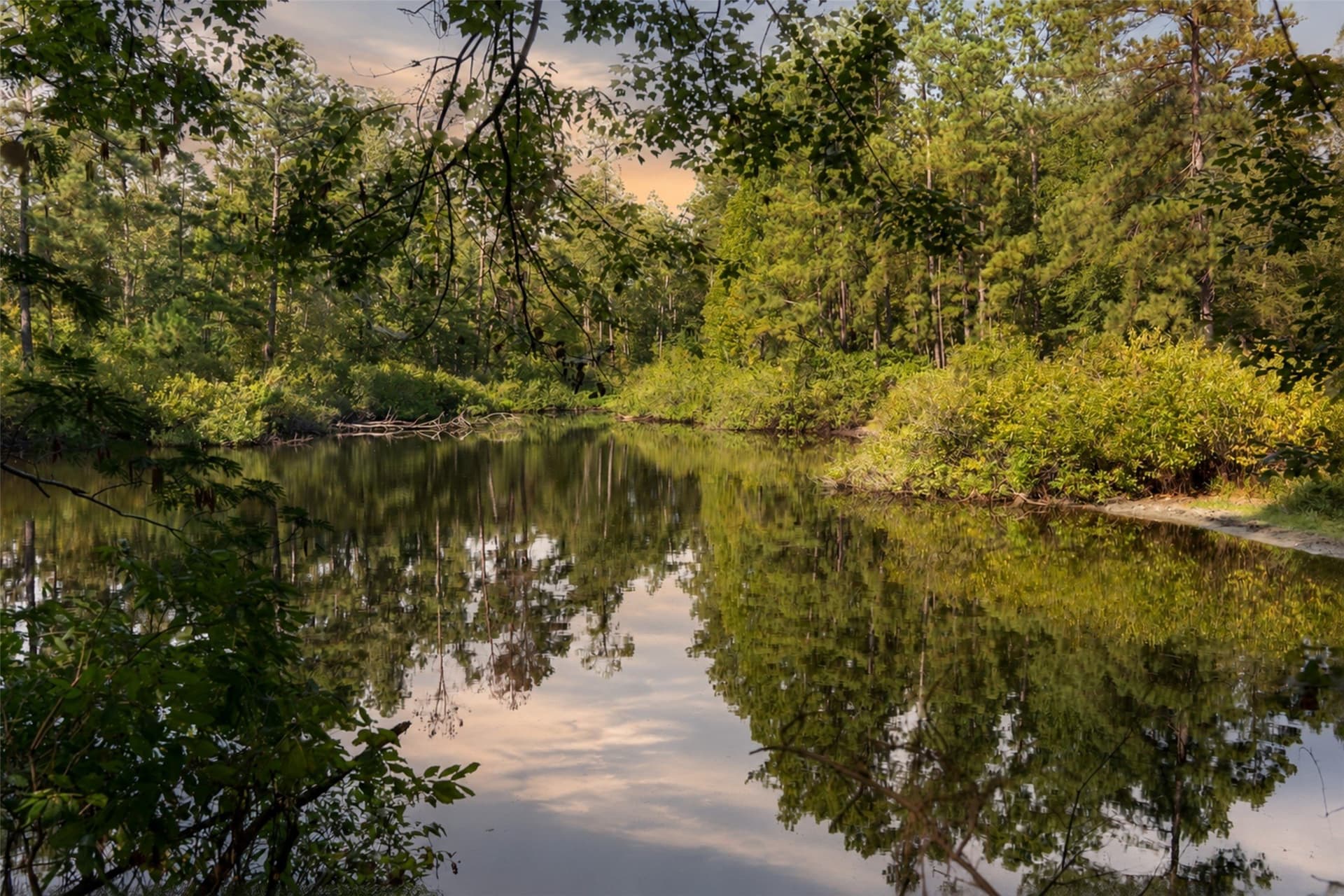 233.88 acres in Anderson County - photo 13