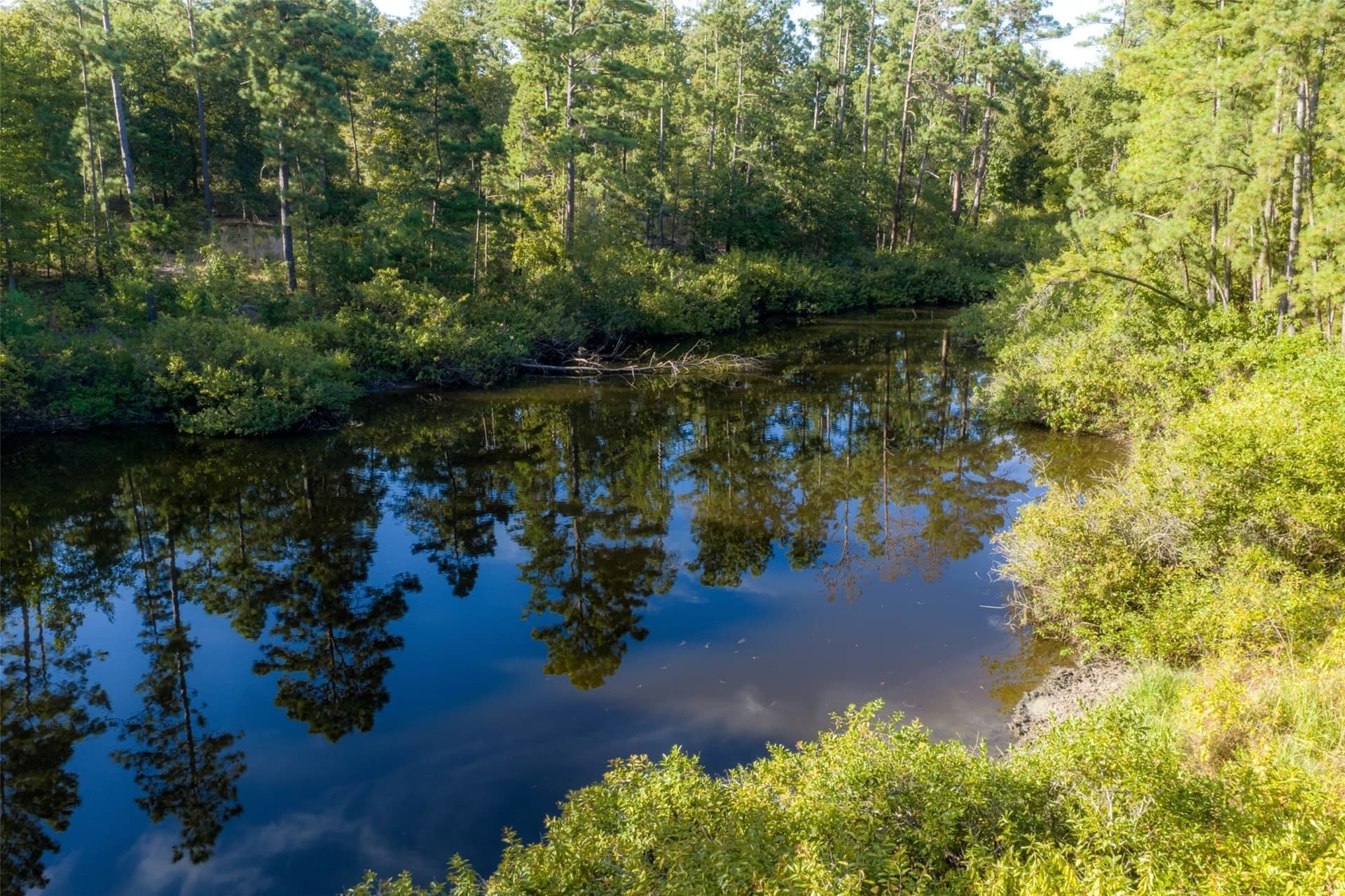 233.88 acres in Anderson County - photo 14