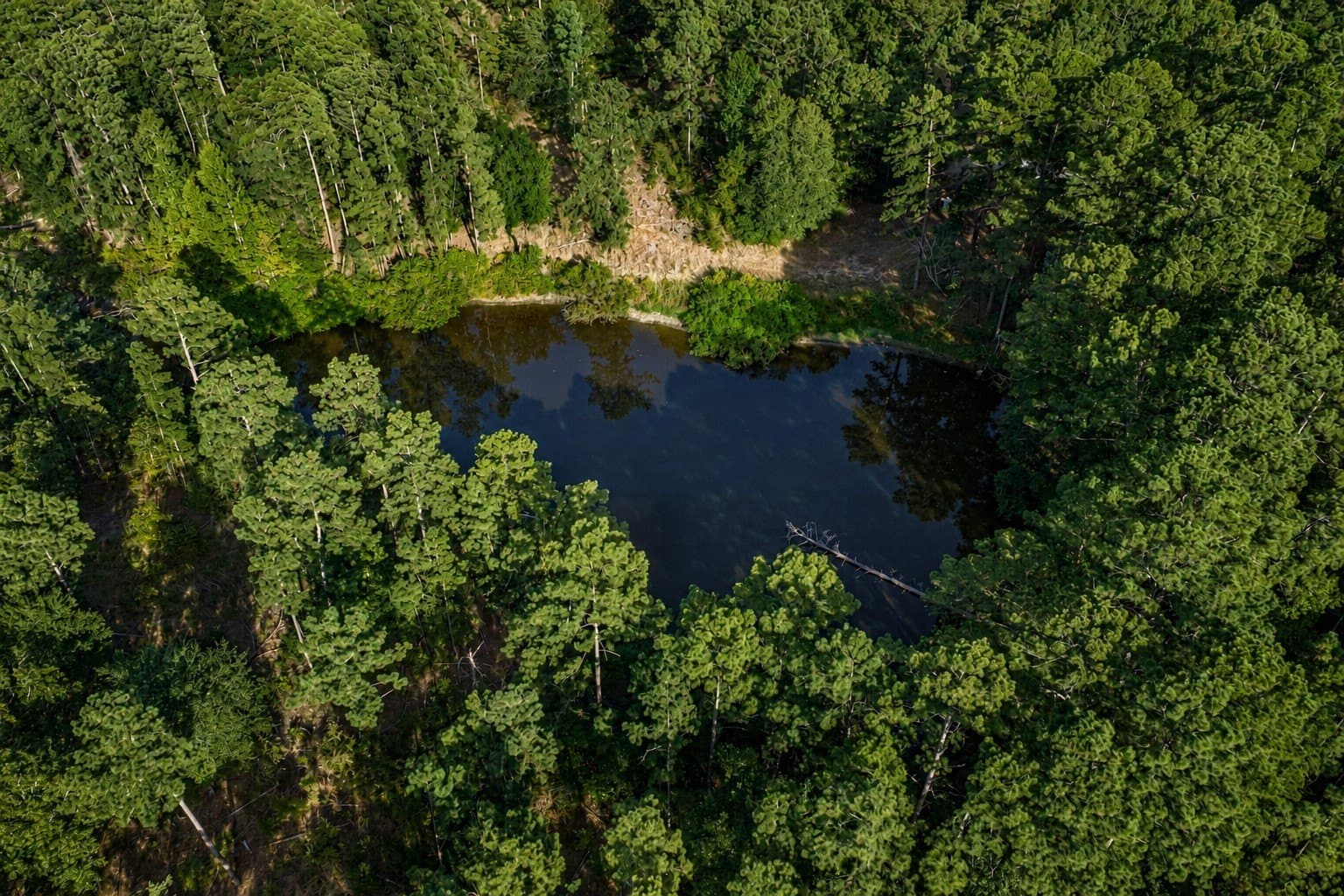 233.88 acres in Anderson County - photo 9