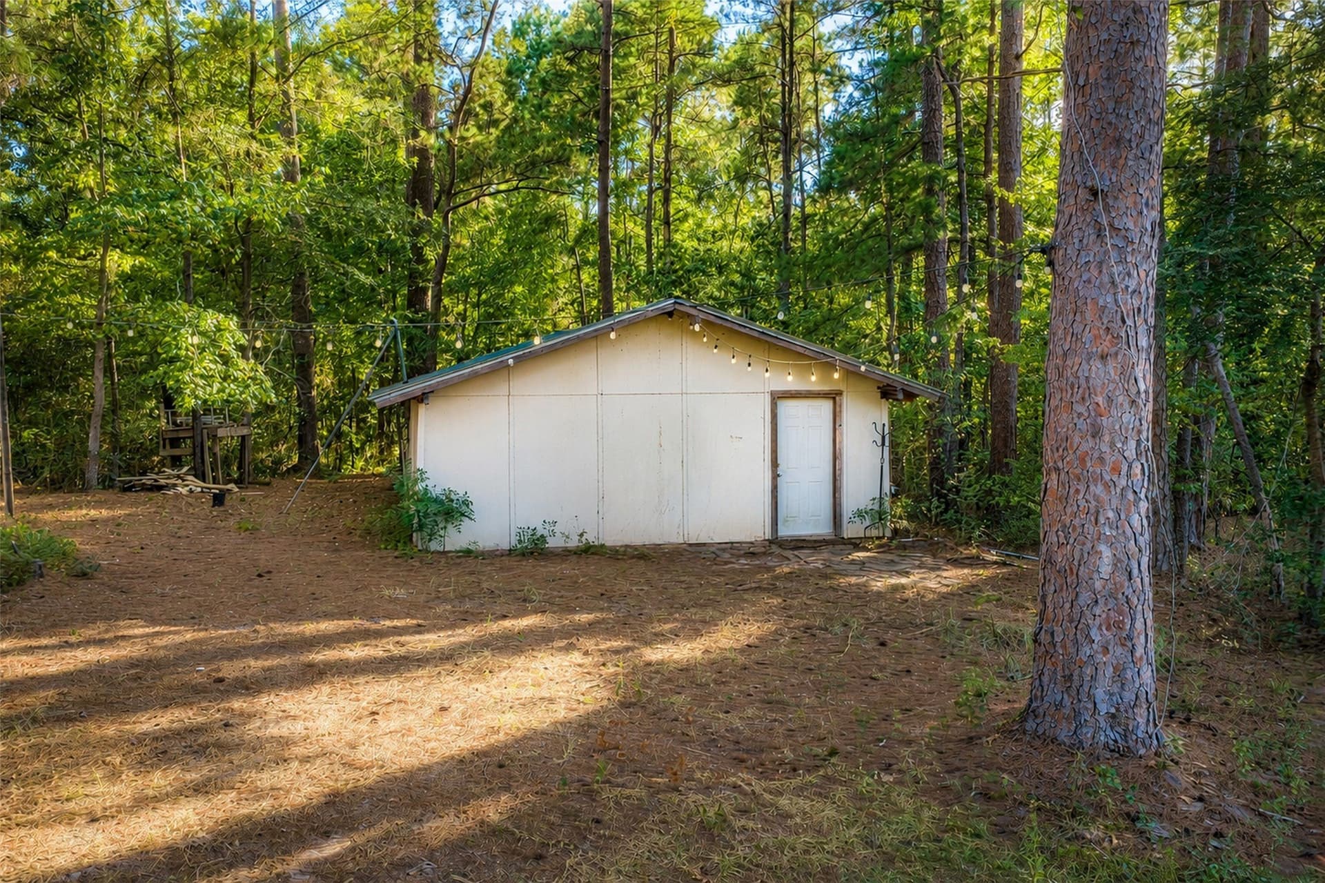 233.88 acres in Anderson County - photo 38