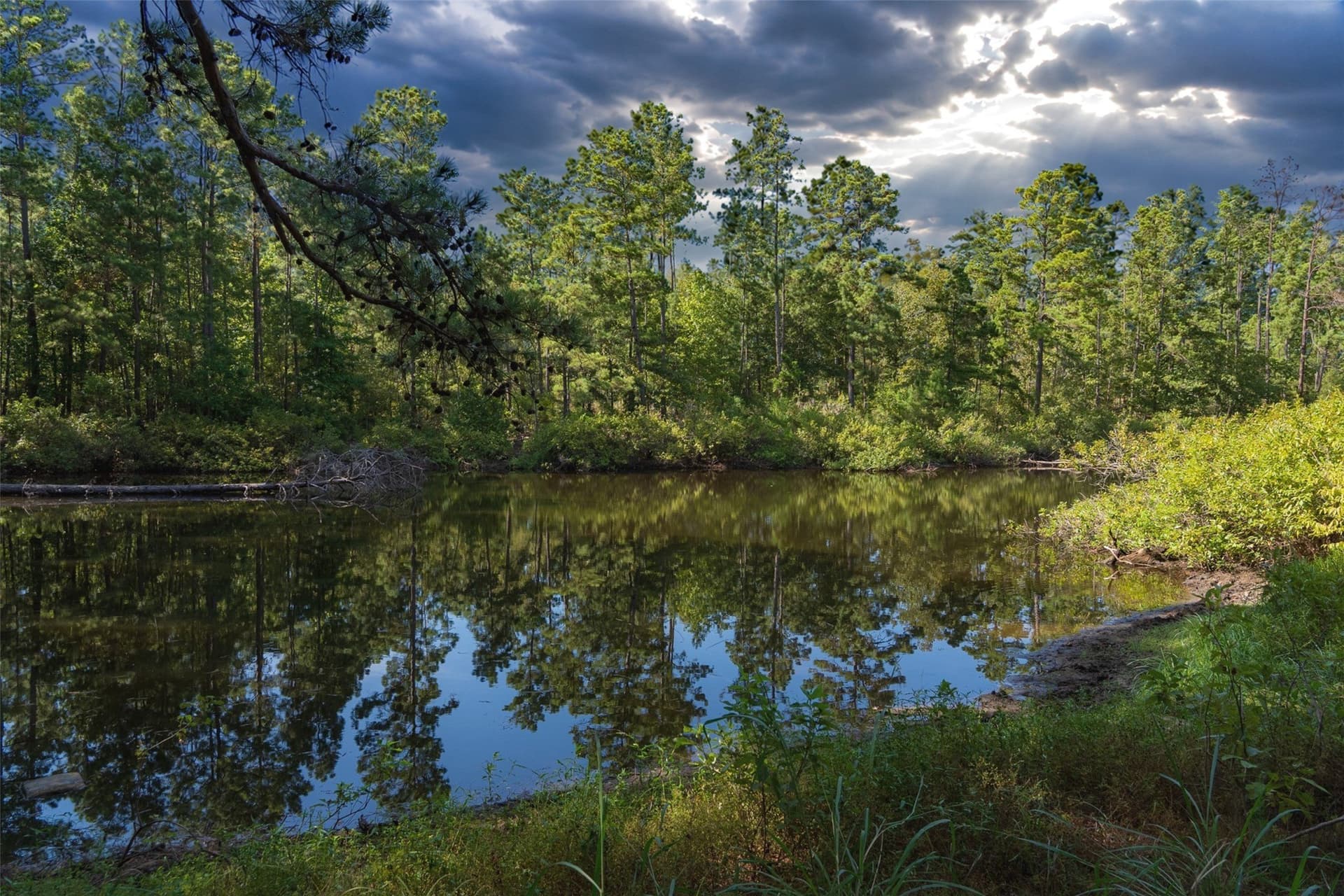 233.88 acres in Anderson County - photo 10