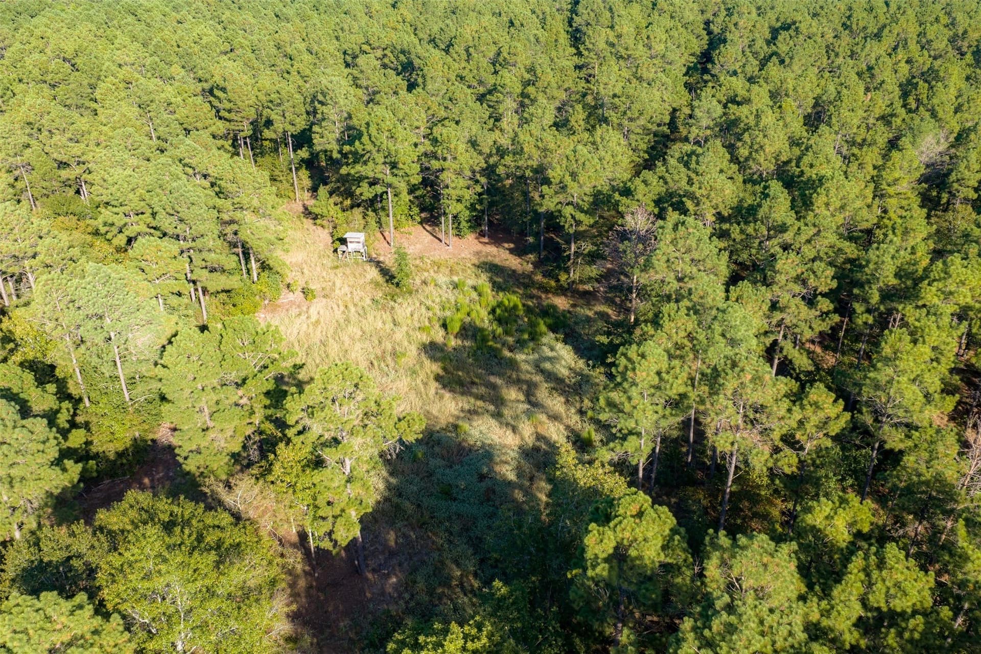 233.88 acres in Anderson County - photo 17