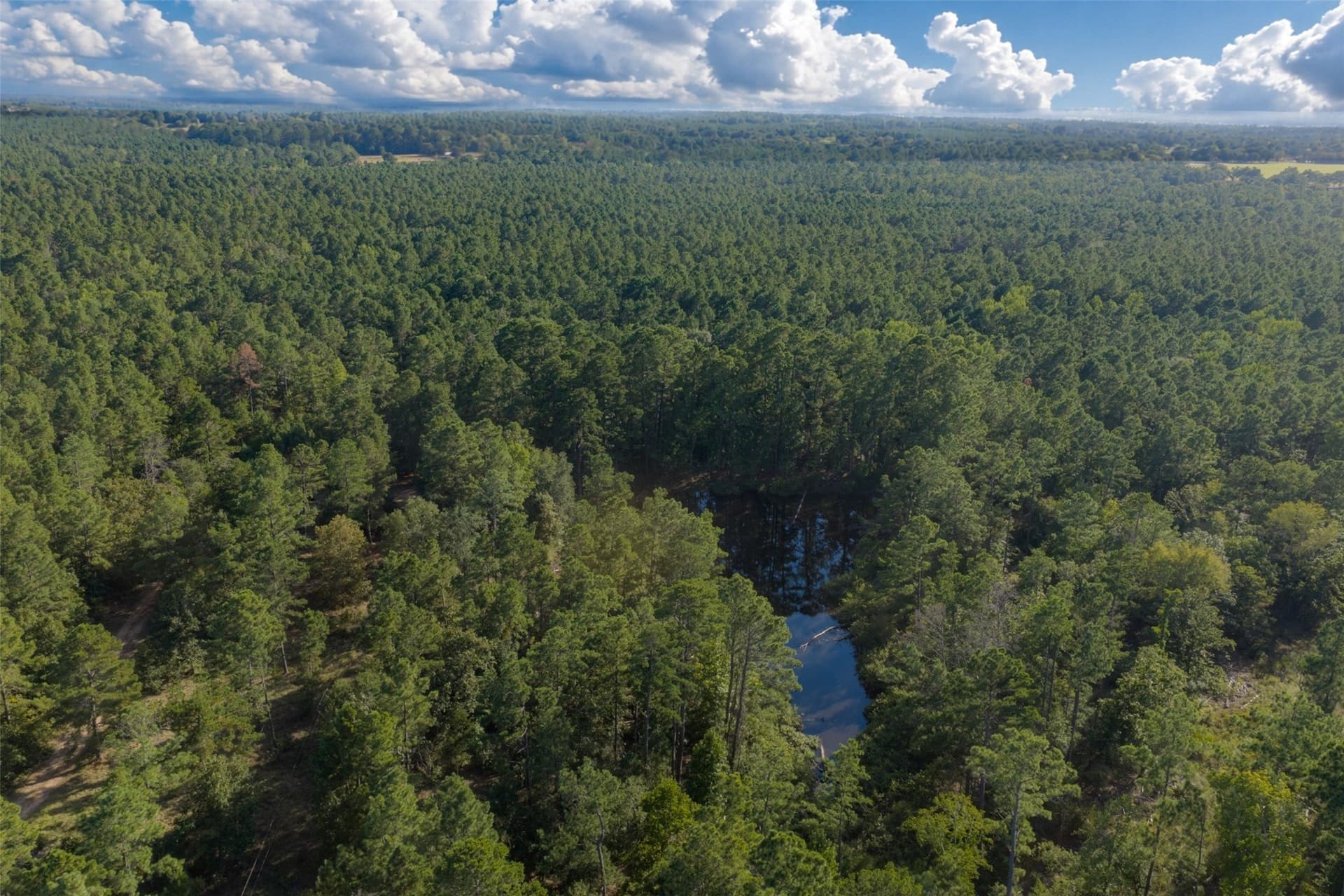 233.88 acres in Anderson County - photo 7