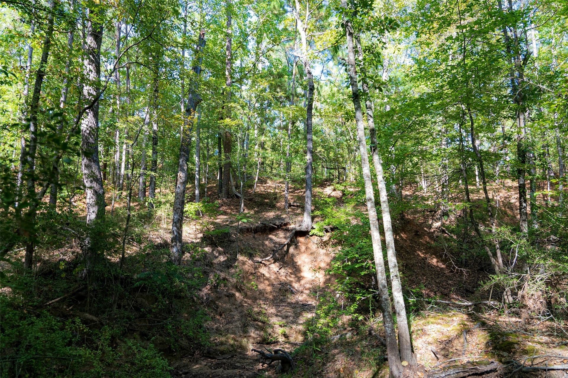 233.88 acres in Anderson County - photo 32