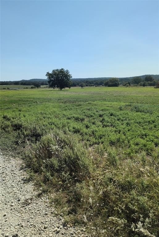 11 acres in Cooke County gallery image 4