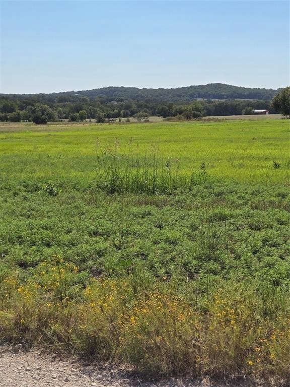 11 acres in Cooke County gallery image 3