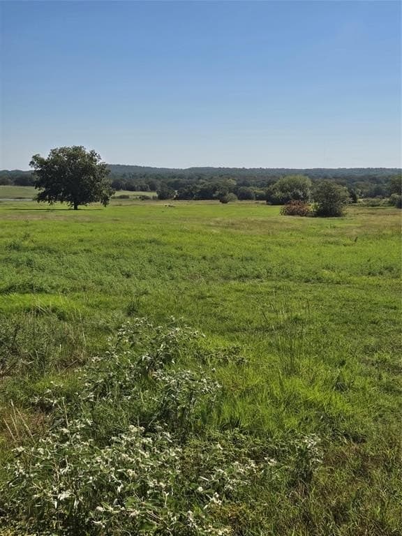 11 acres in Cooke County gallery image 2