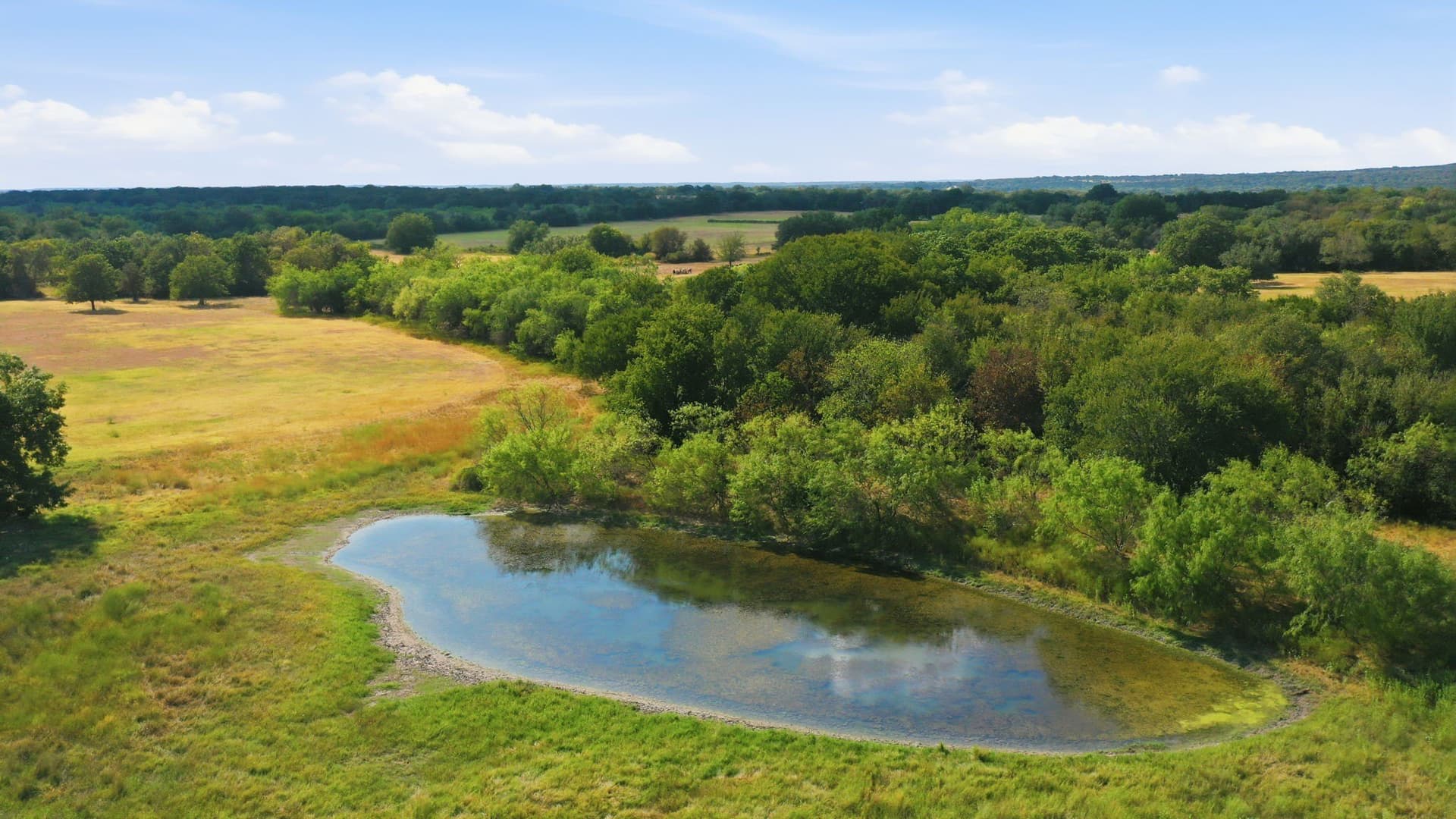 70.94 acres in Bosque County - photo 11