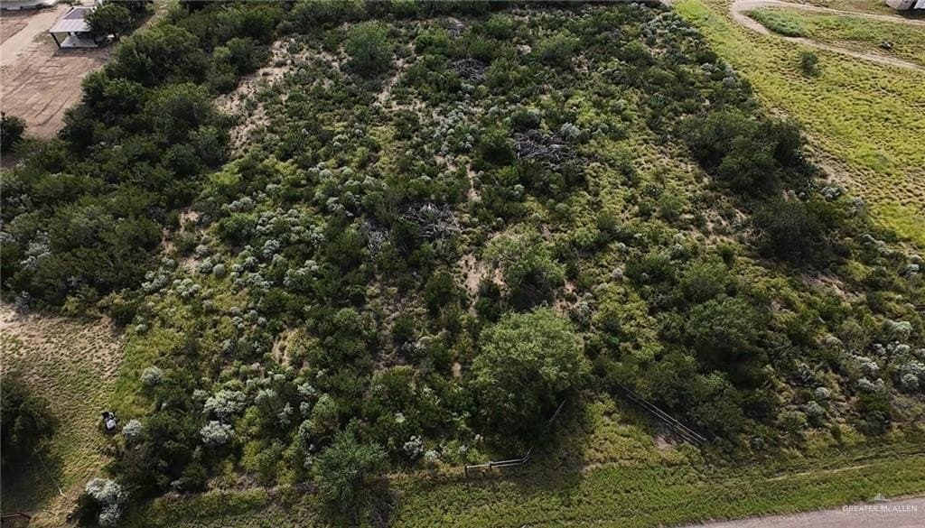 11 acres in Starr County gallery image 3